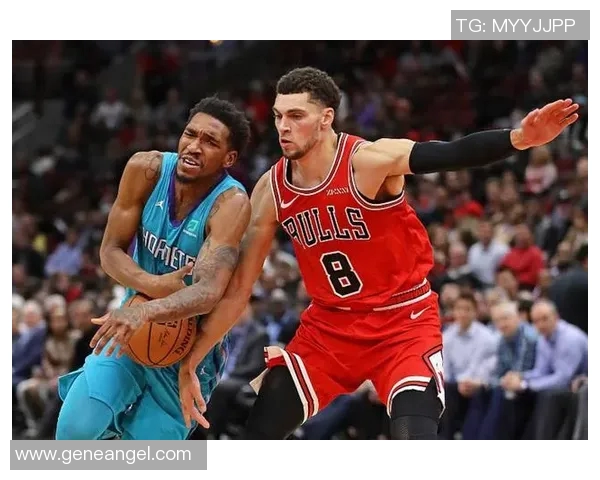 森林狼新赛季崛起之路：年轻天才与老将融合打造强势阵容