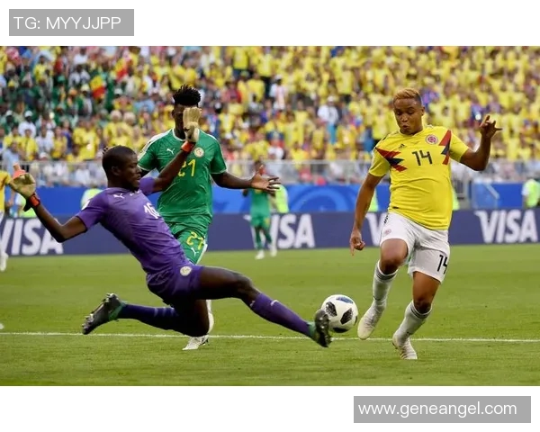 维多利亚与塞阿拉比赛结果分析及精彩瞬间回顾