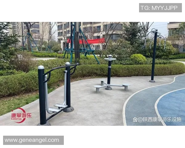 西安健身器材网的购物平台与产品推荐 西安健身器材网的购物平台与产品推荐