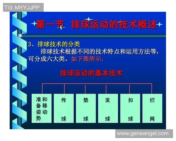 南京排球队在邀请赛中的战术表现分析与点评探讨 南京排球队在邀请赛中的战术表现分析与点评探讨